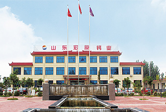 山东宏原钙业